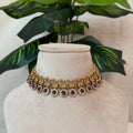 Peacock Coin Choker AN151 Anvika Jewels